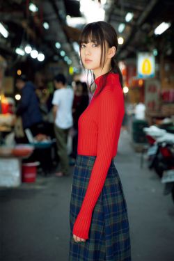 《金花瓶楷梅花2》